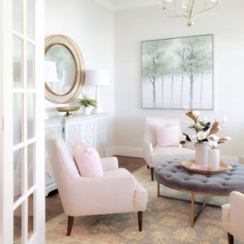Interior designer furniture